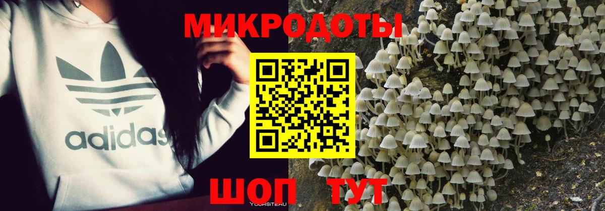 Галлюциногенные грибы GOLDEN TEACHER Рузаевка